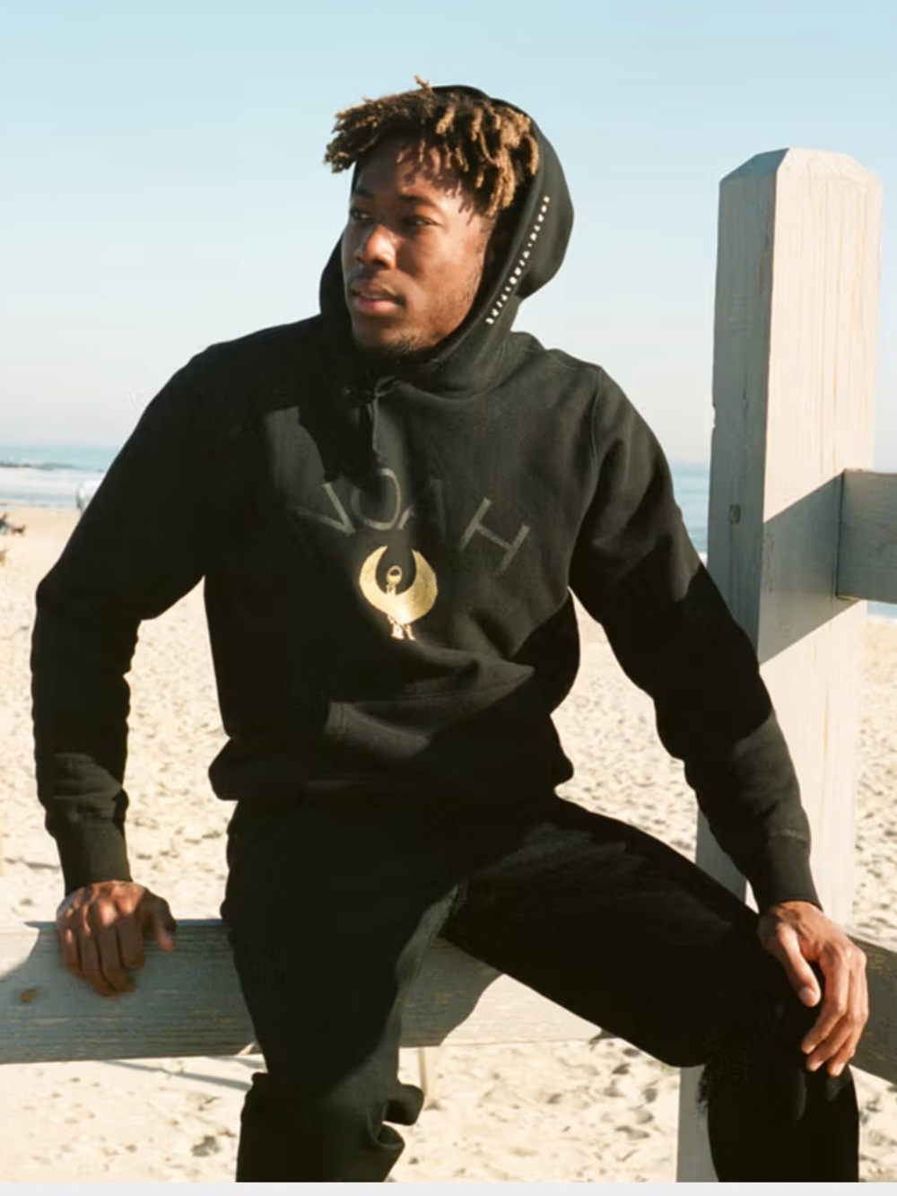 *Limited Edition!* NOAH NYC Earth, Wind and Fire / Fire Phoenix logo Hoodie